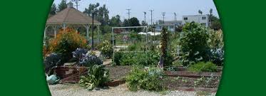 The following data of trade reports comes from customs data. Botanical Gardens And Other Organizations Garden Events Gardening In La