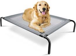 We did not find results for: Amazon Com Paws Pals Elevated Dog Bed Steel Frame Temp Control Indestructible Chew Proof Pet Cot W Trampoline Suspended Raised Hammock Best For Portable In Out Door Use Cooling Platform Medium