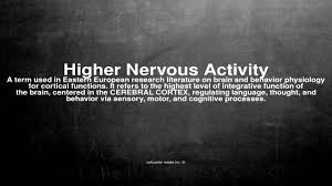 Image result for Higher Integrative Function