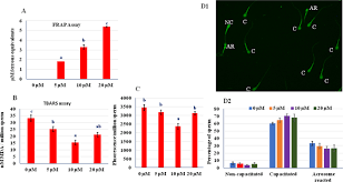 Get inspired for your next trip to europe. A New Role For Ru486 Mifepristone It Protects Sperm From Premature Capacitation During Cryopreservation In Buffalo Scientific Reports