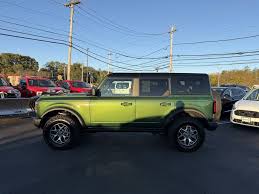 Image result for Dark Yellow Green 2025 Ford