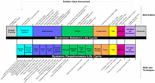 The Business Analyst