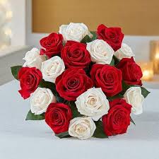 Maybe you would like to learn more about one of these? 5 Best Flower Of The Month Club To Join Or Gift In 2021 Buying Guide