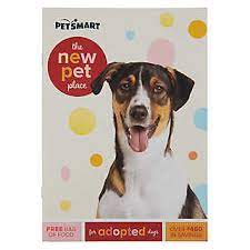 — petsmart at 1115 vidina place in oviedo; Dogs Cats For Adoption Near You Petsmart