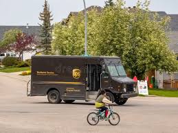 Image result for UPS Brown 2008 Sprinter