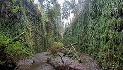 Check spelling or type a new query. Fern Canyon Wikipedia