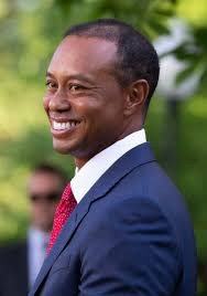 Joe reedy · the associated press · posted: Tiger Woods Wikipedia