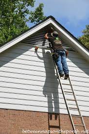 Check spelling or type a new query. Keep Bats Critters From Entering Attics With Screening Between Naps On The Porch