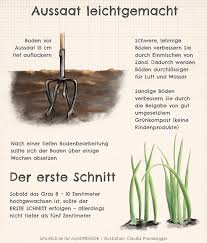 Nun können sie den startdünger verteilen und einharken. Rasen Anlegen Schritt Fur Schritt Anleitung Myhomebook
