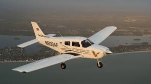 Image result for Piper