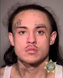 Man found hiding under deck faces drug, firearm charges