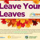 Leave Your Leaves event image