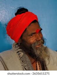 Dusty Hair: Over 3,443 Royalty-Free Licensable Stock Photos