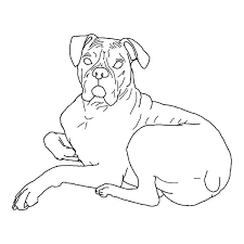 Free download boxer dog coloring sheets on website provided. Boxer Dog Lying Down Coloring Pages Best Place To Color