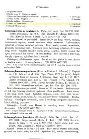 Image result for Schoenoplectiella senegalensis