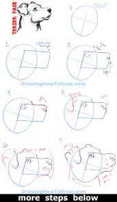 Step 4 just finish up by drawing simple eyes, nose and a curved line for mouth. How To Draw A Terrier S Face Dog S Face With Easy Steps How To Draw Step By Step Drawing Tutorials Dog Drawing Tutorial Dog Face Drawing Drawing Tutorial Face