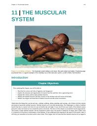 Anatomists name the skeletal muscles according to a number of criteria, each of which describes the muscle in some way. Openstax Chapter 11 For Bio 201 By Mattpearcy Issuu