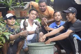 Hal ini dikarenakan masih banyak orang yang belum tahu cara membudidayakan belut. Cara Budidaya Belut Di Ember Tentang Kolam Kandang Ternak
