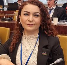 Azərbaycanlı xanım deputat birinci vitse-prezident seçildi