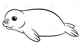 Seal coloring pages free cute seal coloring download free clip art free clip art… this section includes, enjoyable colouring, free printable homework, monk seal coloring pages and worksheets for every age. Coloring Pages Little Cute Baby Fur Seal Lays And Smiles Royalty Free Cliparts Vectors And Stock Illustration Image 59779672