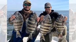 Tide tables and solunar charts for south carolina: Georgetown S C Saltwater Fishing Report Carolina Sportsman