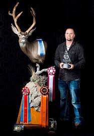 Cut the backbone leaving at least 6 inches of neck meat in order to get. Mule Deer Utah Taxidermists Association