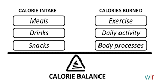 Daily Calorie Intake Weight Loss Resources