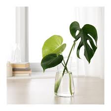 Karaff Carafe Clear Glass Ikea Clear Glass Glass Flower Vases