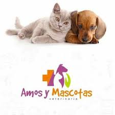 AMOS Y MASCOTAS