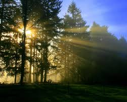 By Morning S Jocund Light Morning Light Beautiful Images Scenery