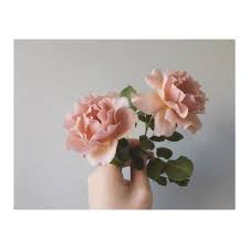 Pin On Flowers For Reference