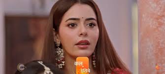 Kundali Bhagya: Rajveer and Palki will get into an argument!