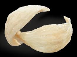 Direview oleh banyak artikel, direkomendasikan oleh dokter bernutrisi tinggi, mencegah resistensi insulin, kaya antioksidan, turunkan kolesterol, baik untuk kulit, dan mencegah peradangan. Berharga Selangit Ini Manfaat Sarang Burung Walet Buat Kesehatan Gaya Tempo Co