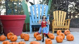 Boo At The Zoo Cmzoo