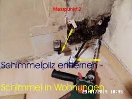 Schimmel in der wohnung stellt einen mangel der mietsache dar, der dich in der regel zur mietminderung berechtigt. Schimmelpilz Entfernen Schimmel Wohnung Bayern Baden Wurtemberg