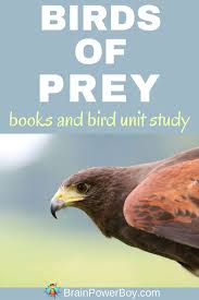 Maybe you would like to learn more about one of these? Birds Of Prey Books Brain Power Boy