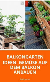 Gemuse Auf Dem Balkon Anbauen In 2020 Balkongarten Krautergarten Balkon Gemuseanbau