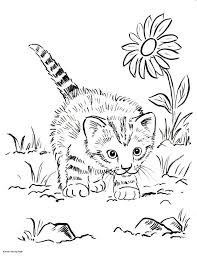 Exclusive Photo Of Kittens Coloring Pages Entitlementtrap Com Cat Coloring Book Kittens Coloring Puppy Coloring Pages