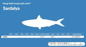 Balik Infografik Grafik Fish Infographics Graphic Sardalya Infografik Balik Balik