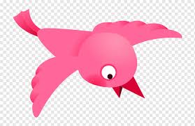 Dalam proses pembelajaran jenis ini ada beberapa hal yang harus diperhatikan pendidik, antara lain: Cartoon Vogel Png Pngwing