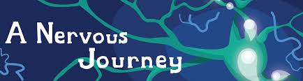 Understanding how the nervous system works provides the foundation for understanding physiology. Nervous System Quiz Ask A Biologist