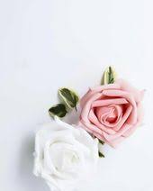 أجمل صور صباحية صور مكتوب عليها. 49 Idees De Image Feerique Image Feerique Melange De Couleur Art De La Photographie