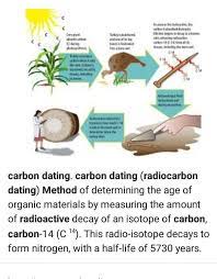 Ever wonder what carbon dating means and why it is so important? Define Carbon Dating Method Brainly In