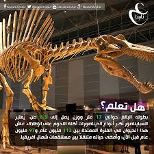 ي عتبر السبايناصور أكبر أنواع الديناصورات آكلة اللحوم على الإطلاق تعديل الصورة عمار الكنعان للمزيد Https Www Facebook Com Lion Sculpture Statue Sculpture