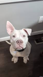 Fairly easy one but wanted to join in