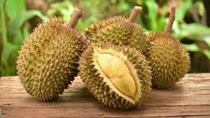 So, jom cuba cara halau tikus dari rumah yang disenaraikan di bawah ni. Ini 8 Cara Halau Tikus Dari Rumah Pasti Menyesal Kalau Datang Buzzkini