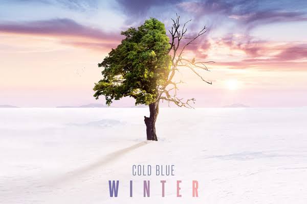 COLD BLUE – WINTER ile ilgili görsel sonucu"