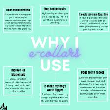 Dog care dog training collar (on amazon) (a cheaper/affordable e collar option. Why I Train Dogs With E Collars Chaos To Calm K9 Training