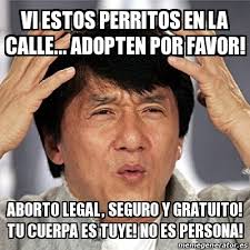 Aborto legal para no morir. Meme Jackie Chan Vi Estos Perritos En La Calle Adopten Por Favor Aborto Legal Seguro Y Gratuito Tu Cuerpa Es Tuye No Es Persona 29427977