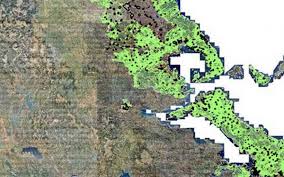 Μειζον θεμα οι δασικοι χαρτεσ. Nea Apofash Katapelths Gia To Phlio Xanoyn Tis Idiokthsies Toys Osoi Den Kate8esan Antirrhsh Kata Toy Dasikoy Xarth E Thessalia Gr